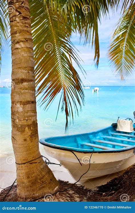 Coconut Palm Tree And A Boat Stock Photo Image Of Seaside Resort