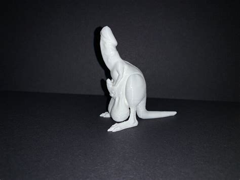 Kangaroo Dick Bachelorette Party Penis Gag T 3d Printed Dicky