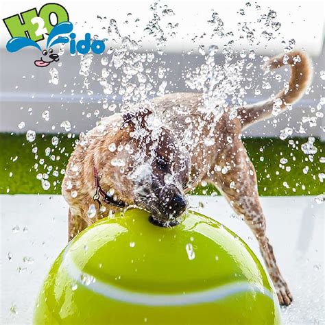 Dog Spray Park Features By H2o Fido Dog Spray Dog Park Equipment