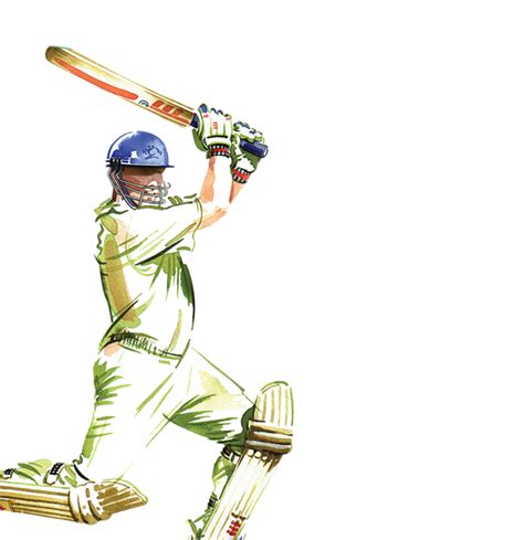 Cricket Png Transparent Image Download Size 621x641px