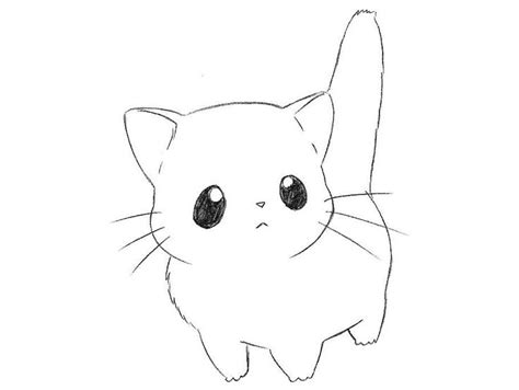 How To Draw Chibi Cat For Kids Kawaii Cat Drawing Chibi Cat Chibi