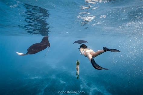 Manta Point Nusa Penida 2022 Snorkeling With Manta Rays