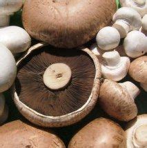 Manx grown mushrooms from Greeba Farm (With images ...