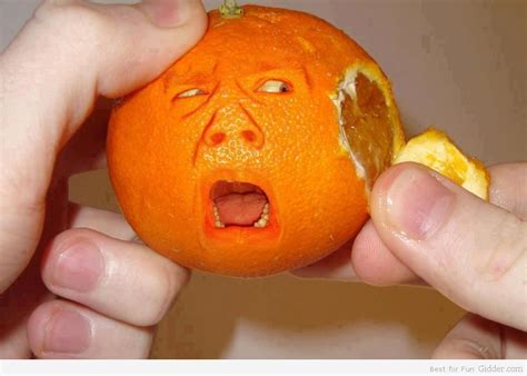 Funny Orange Art Funny Food Humor Funny Food Pictures Orange Recipes