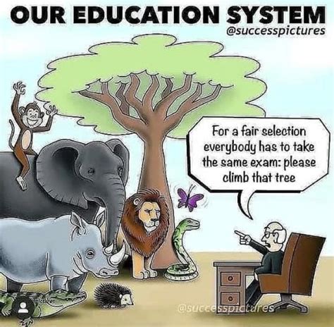 Our Education System Successpictures For A Fair Selection Everybody