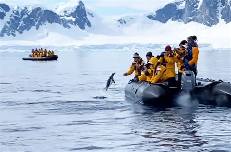 Unbelievable Moments Caught On Camera | WATCH ON BINGE