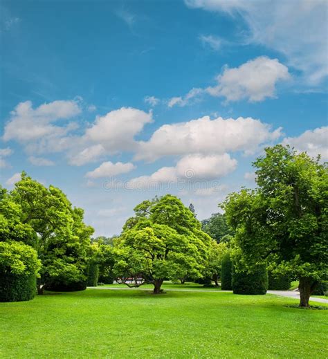 Beautiful Park Trees Over Cloudy Blue Sky Formal Garden Stock Image