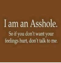 I Am An Asshole If You Don T Want Your Feelings Hurt Don T Talk To Me