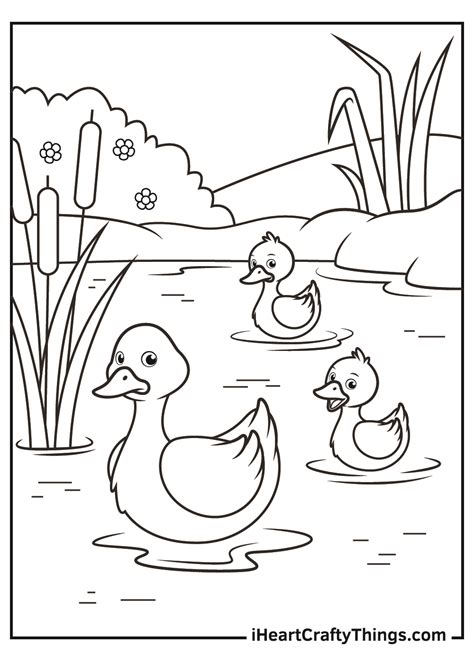 Baby Chicks Ducks Coloring Pages
