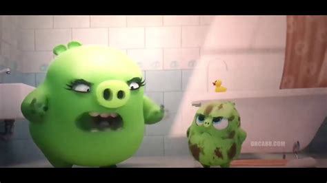 Angry Birds 2 Baby Pig Too Cute Youtube