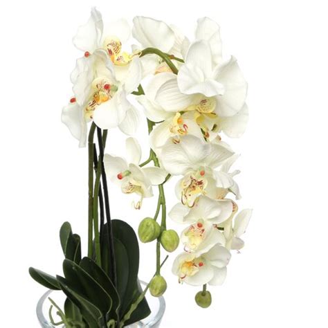 Nearly Natural Phalaenopsis Silk Orchid In White With Glass Vase And Reviews Wayfair