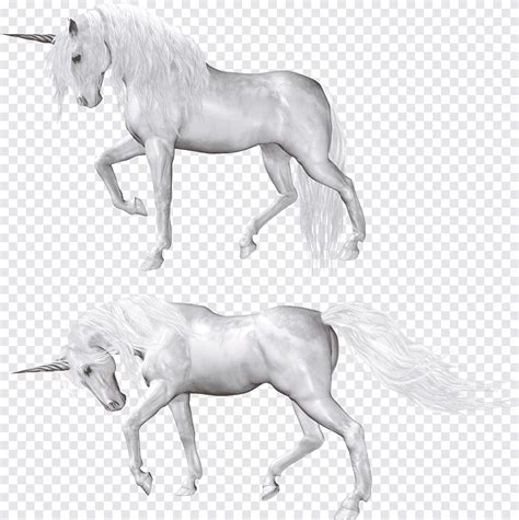 Two White Unicorns Art Horse Unicorn Unicorn Mare Grass Png Pngegg