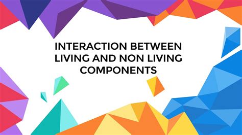 Interaction Between Living And Non Living Components Ecosystem Part