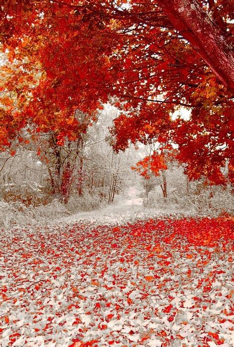 First Snow Fall In Minnesota Photo On Sunsurfer