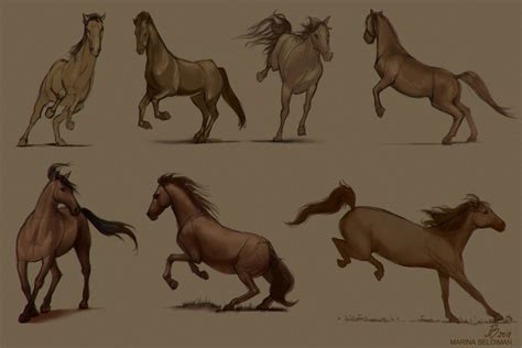 Artstation Horse Sketches
