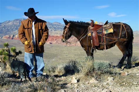 Cowboy Trail Rides 114 Photos And 73 Reviews Horseback Riding 4053