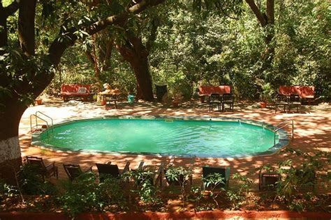 Now That Matheran Is Open Check Out These Homestays And Resorts For A Scenic Stay Whatshot