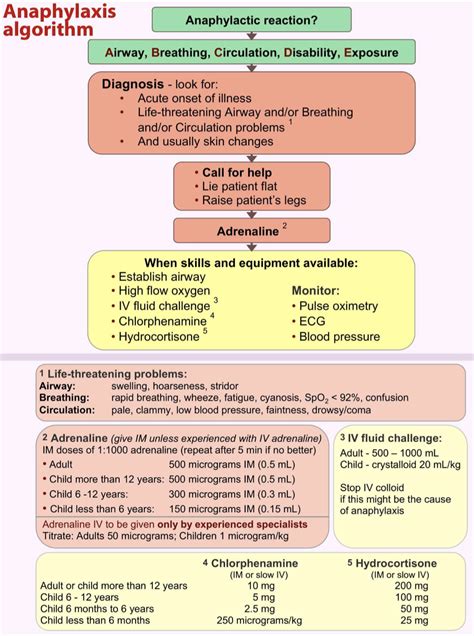 Anaphylaxis World Allergy Organization Anaphylaxis Guidance 2020