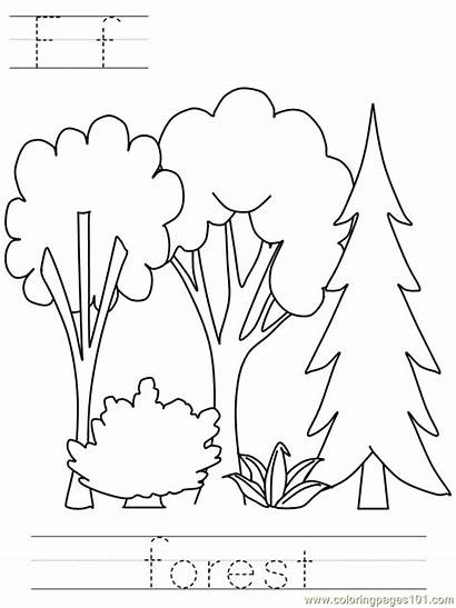 Forest Coloring Pages Drawing Printable Others Coloringpages101