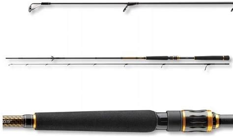 Daiwa W Dka Morethan Branzino Ags Spin M G Ceny I