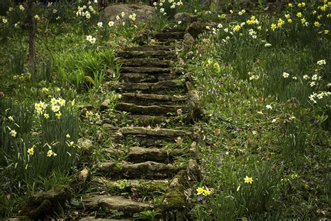 Wildflowers And Winding Stairs At The Aullwood Gardens Metropark Dayton