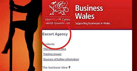 Welsh Government Backed Website Offers SEX Industry Job Advice Mirror