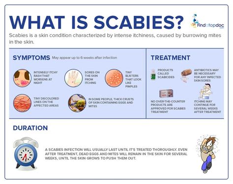 What Is Scabies Scabies Scabies Treatment Eczema Relief
