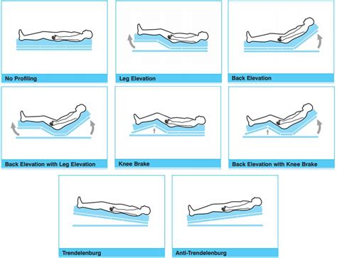 Hospital Bed Positions Names