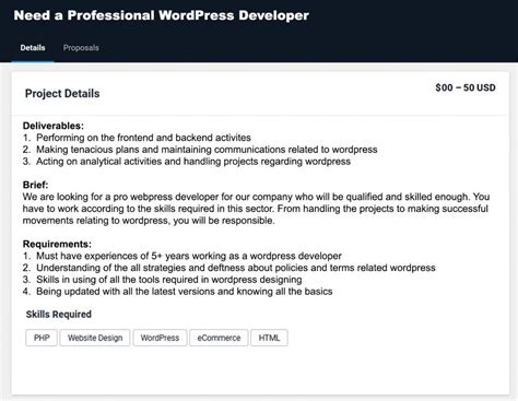 Freelancer Proposal Sample For Wordpress Developer