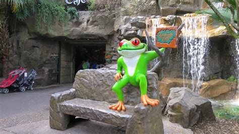 Rainforest cafe is a fun place to eat but there are locations all over the country at shopping malls and downtown areas. Rainforest Cafe - Disney Animal Kingdom - KMB Travel Blog