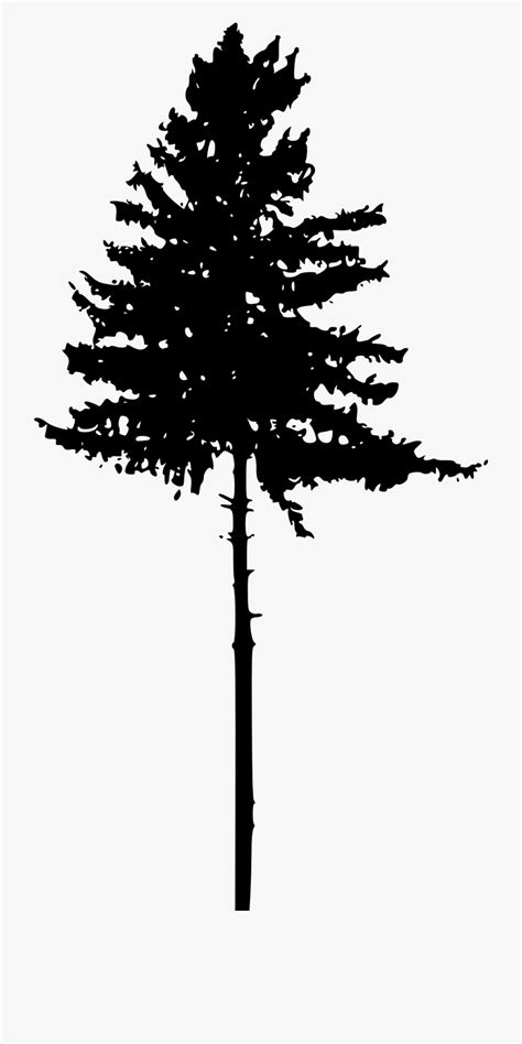 How many stock photos of pine trees are there? Tree Pine Silhouette Clip Art - Tree Silhouette ...