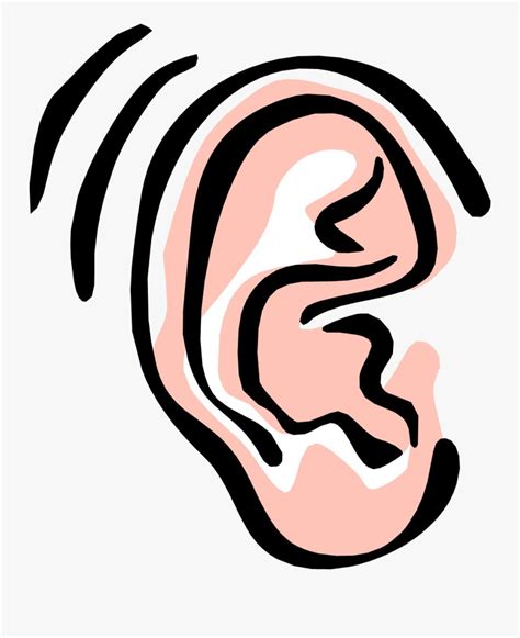 Ear Free Image Of The Clip Art On Transparent Png Ear Clipart Free