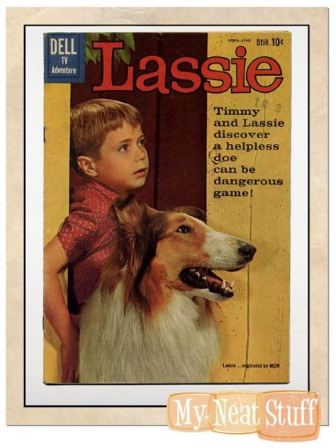 lassie my neat stuff showcase