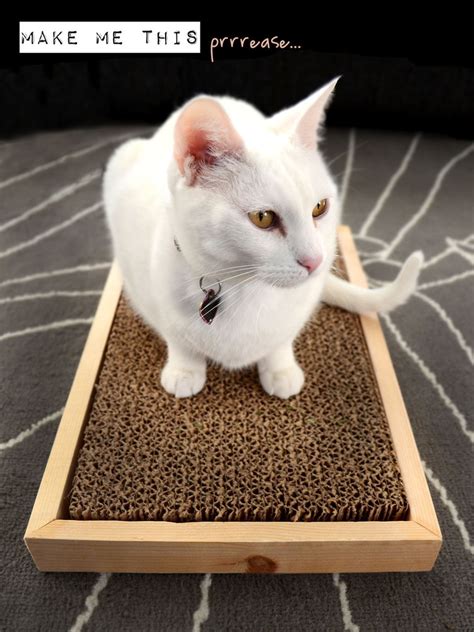 Upcycle your messy and frayed scratching post with carpet for a cleaner look. 12 DIY Cat Scratchers That Aren't Eye Sores - Shelterness
