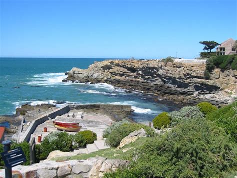 12 Exciting Things To Do In Hermanus Africa Destinations Guides