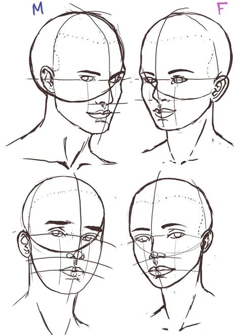 Face Anatomy Drawing Tutorial Rikki Havens