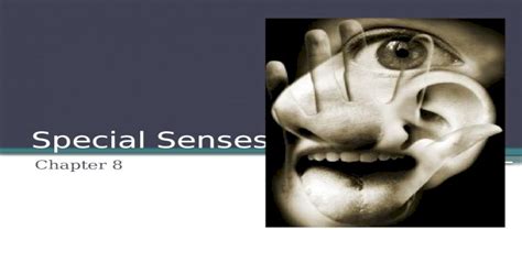 Special Senses Chapter 8 Special Senses Smell Taste Sight Hearing