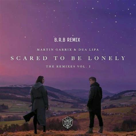 Dua lipa responded to the situation by sending out a tweet. B.R.B - Martin Garrix & Dua Lipa - Scared to be lonely (B ...