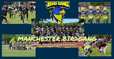 The hot topic lately has been concussions in youth football. Registration open for The Bird Gang, NH's spring youth ...