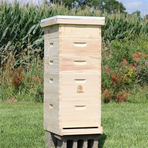 Commercial Apiary Langstroth Bee Hives For Sale Free Shipping