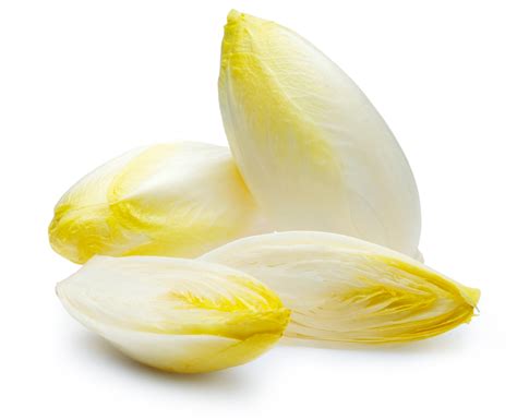 Chicorée bildet eine rübe (15 cm lang, 3 bis 5 cm dick) und eine dem boden aufliegende blattrosette. Chicorée - Rezepte / Naturkost Schniedershof - Ihr ...