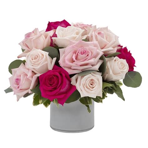 We have now placed twitpic in an archived state. Abington, PA Same-Day Same-Day Flower Delivery Delivery ...