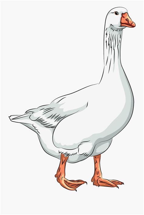 Goose Clipart Free Transparent Clipart Clipartkey