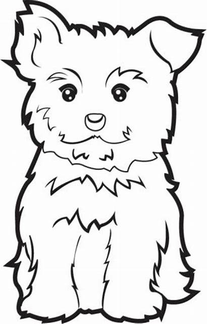 Clipart Dog Yorkie Puppy Coloring Maltese Thanksgiving