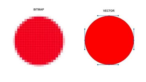 Bitmap Vs Vector Images Visual Communication Design Visual