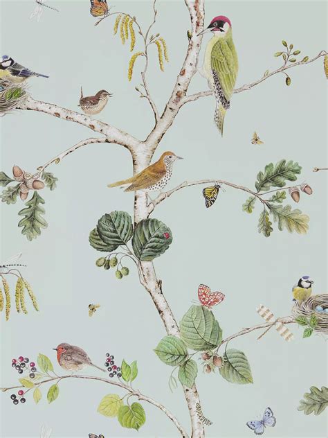 Sanderson Woodland Chorus Wallpaper At John Lewis And Partners