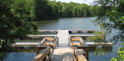 Maybe you would like to learn more about one of these? Santee Cooper Lakes - Marion and Moultrie