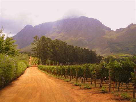 Cape Town Og Alle Vennene Winelands Winelands Winelands