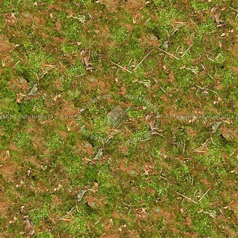 Undergrowth Green Grass Texture Seamless 13041