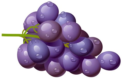 Free Grapes Vector Png Download Free Grapes Vector Png Png Images